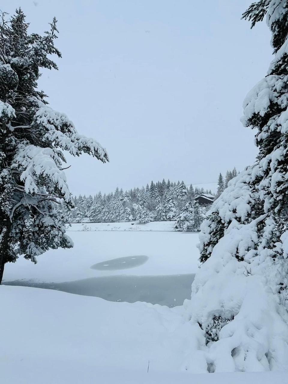 Au Petit Bonheur Saint-Sauveur-Camprieu