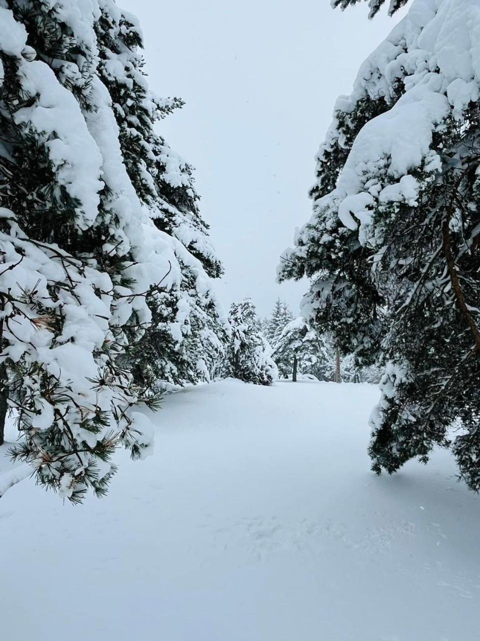 Au Petit Bonheur Chalet