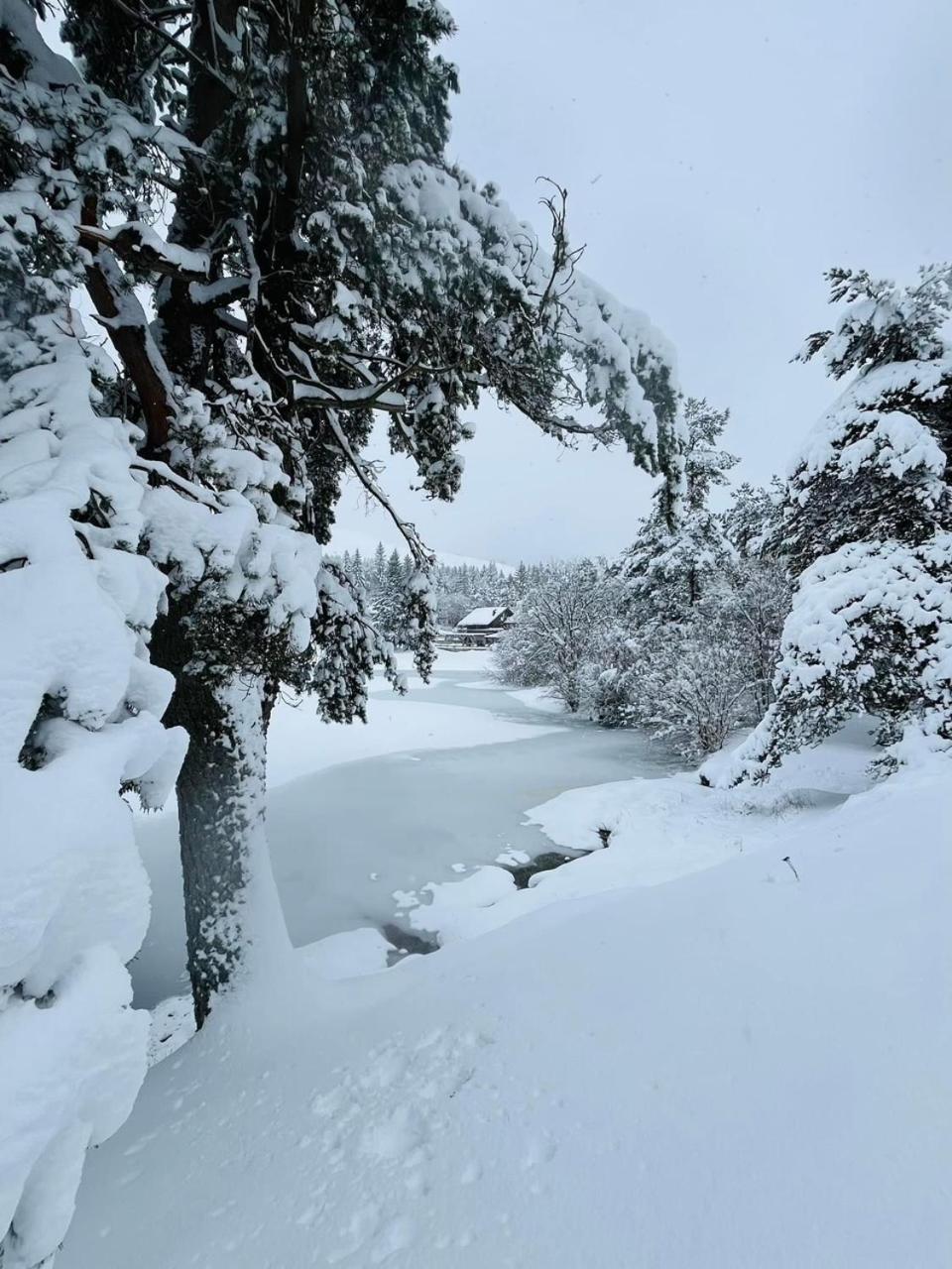 Au Petit Bonheur Chalet Saint-Sauveur-Camprieu