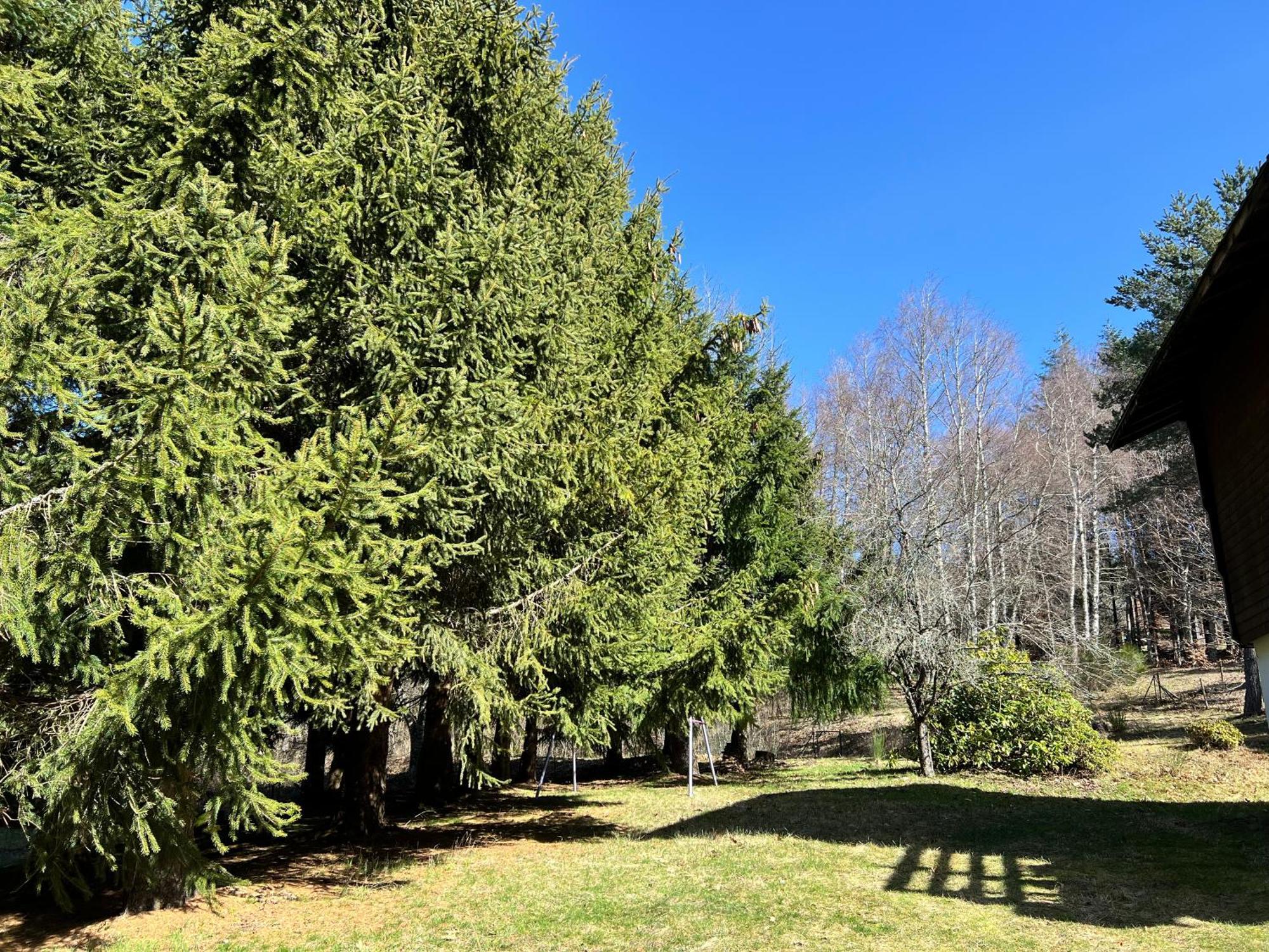 Chalet Au Petit Bonheur Saint-Sauveur-Camprieu