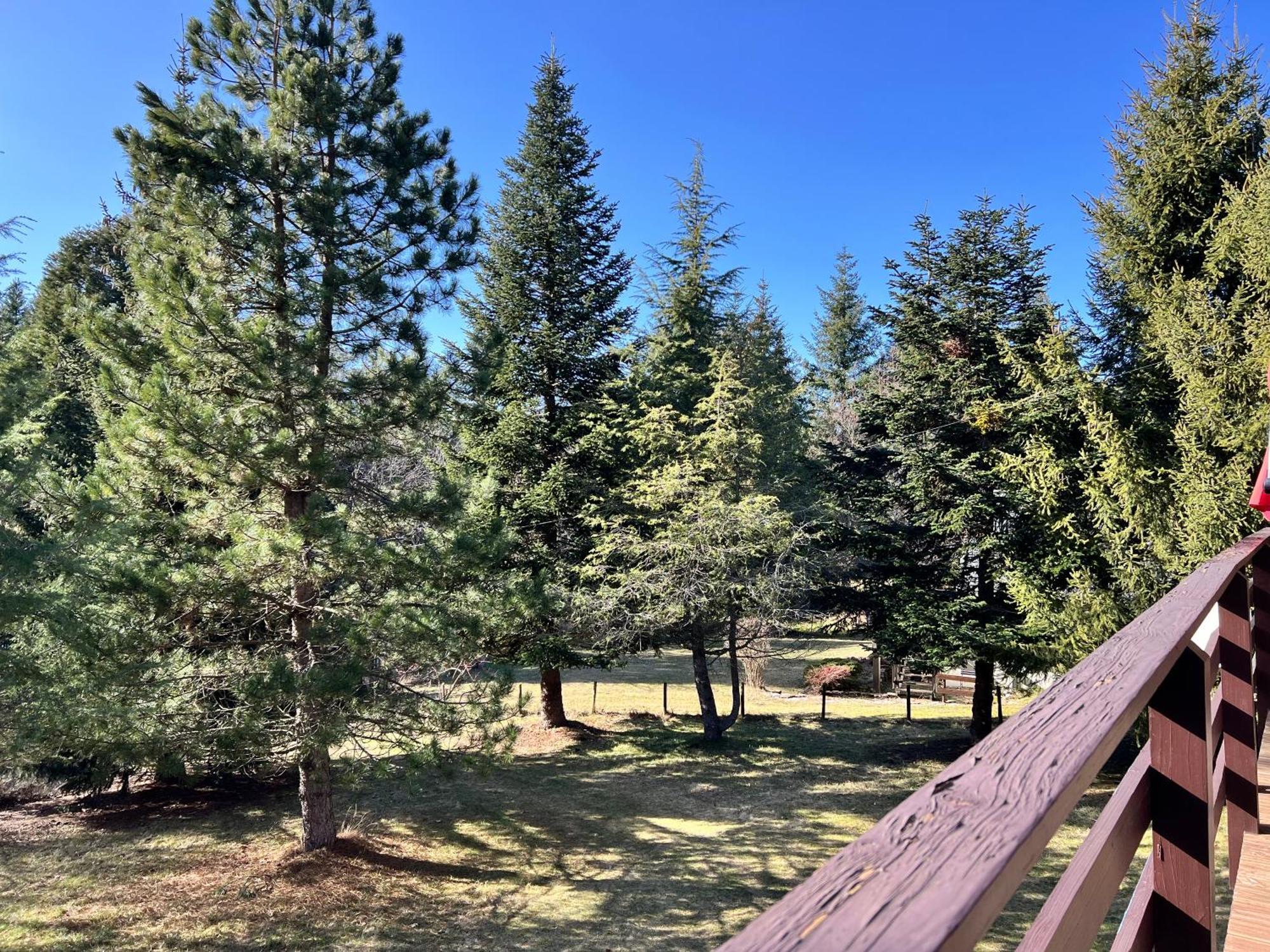 Au Petit Bonheur Chalet